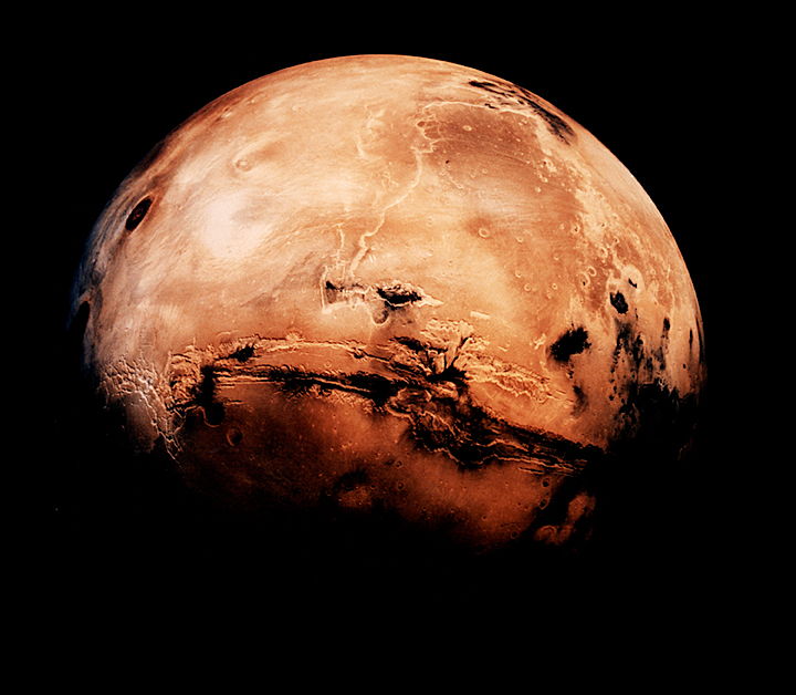 Are We All Martians? Tool Could Help Detect Earth-Like Life on Mars